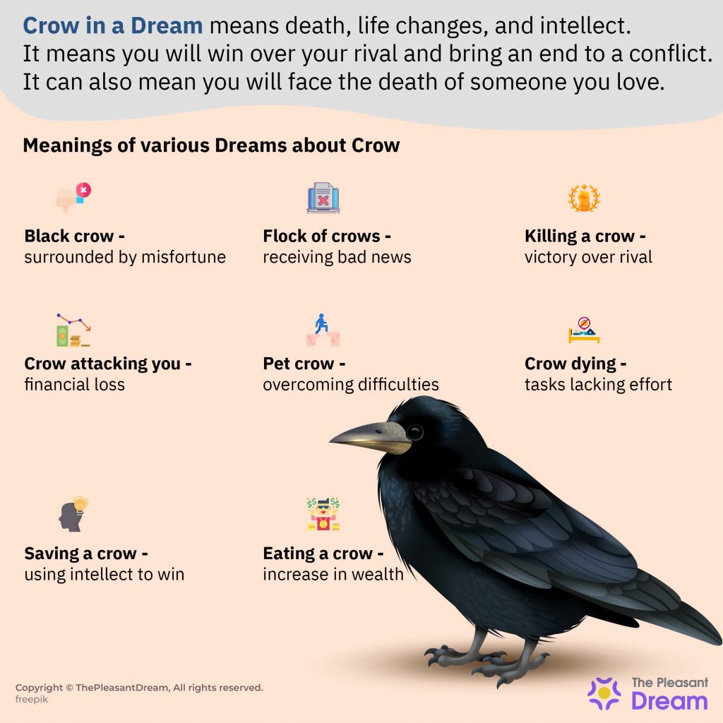 Crow in Dream - Guía detallada de buenas y malas interpretaciones