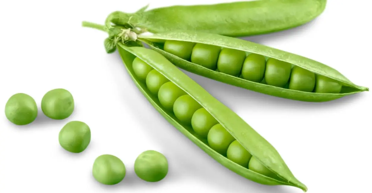 Dream Of Peas: 45 tipos y escenarios