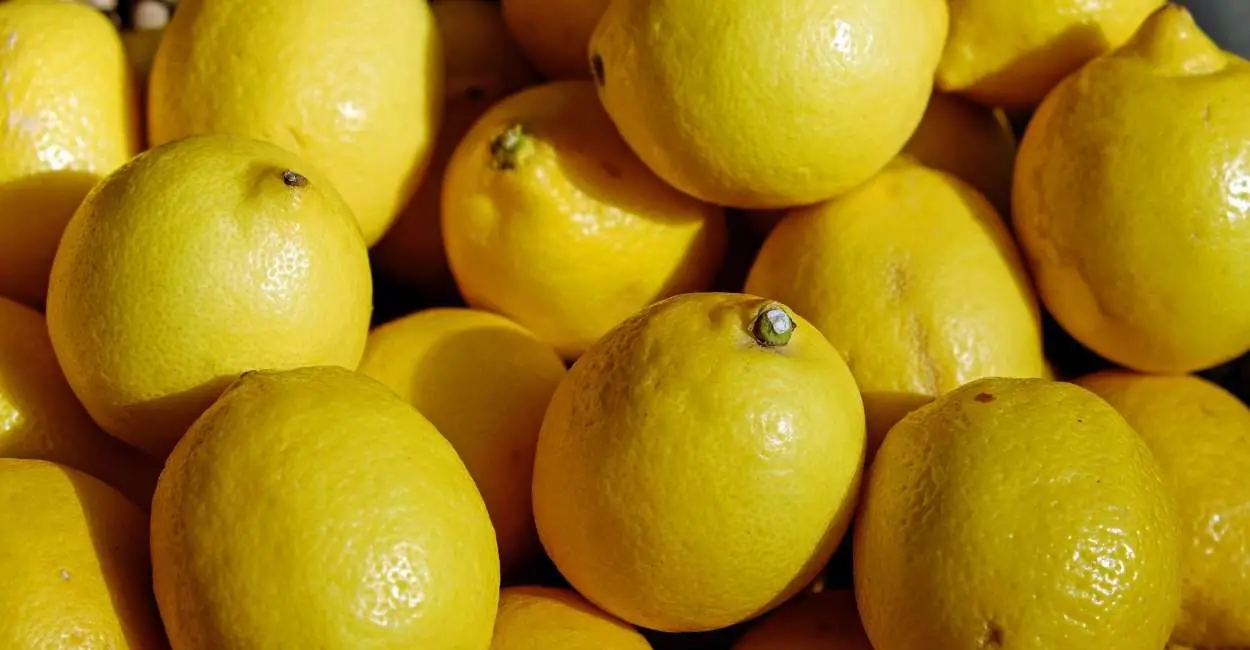 Soñar con limones: ¿transmite entusiasmo y brinda noticias positivas?