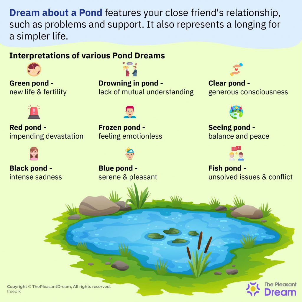 Dream about Pond - Buceo en varios escenarios e interpretaciones