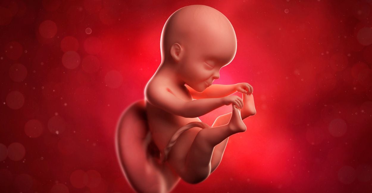 Dream of Fetus: ¿significa nuevos comienzos e ideas?