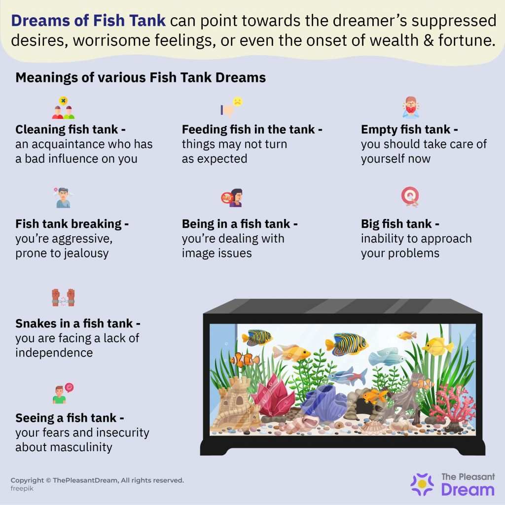 Dream of Fish Tank - 40 escenarios y sus interpretaciones