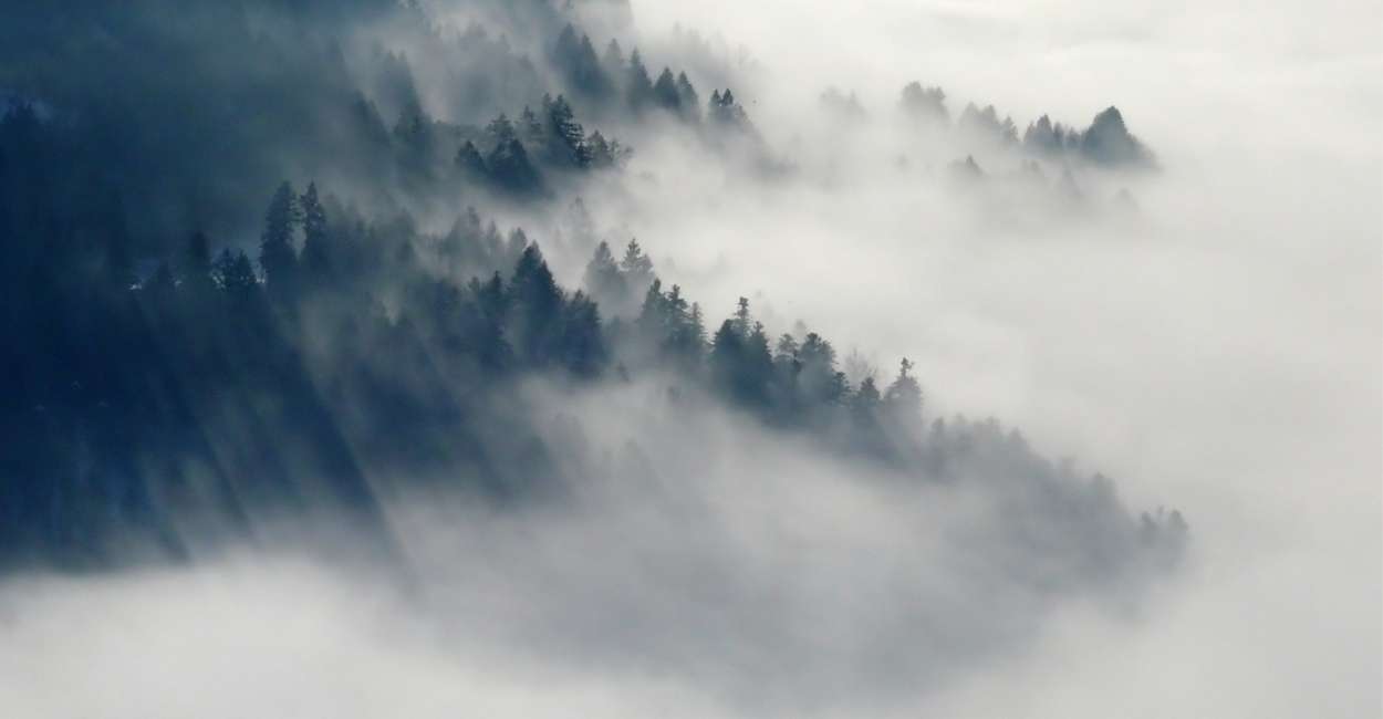 Sueño de niebla: ¿muestra su estado mental con un entorno poco claro?