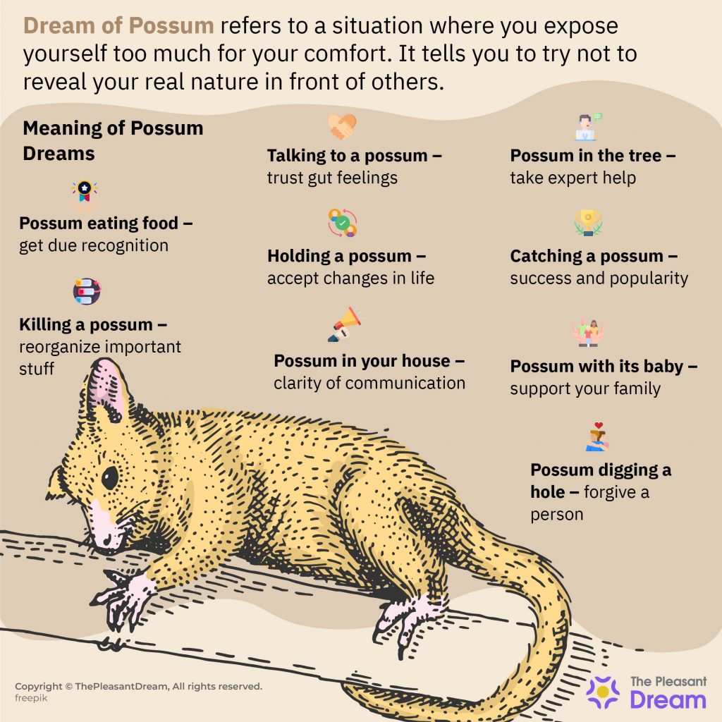 Dream of Possum - 62 tramas y sus interesantes interpretaciones
