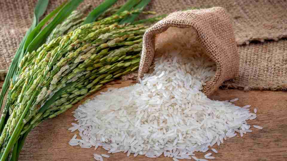 Sueño de arroz: ¿conduce a la nutrición o algo más?