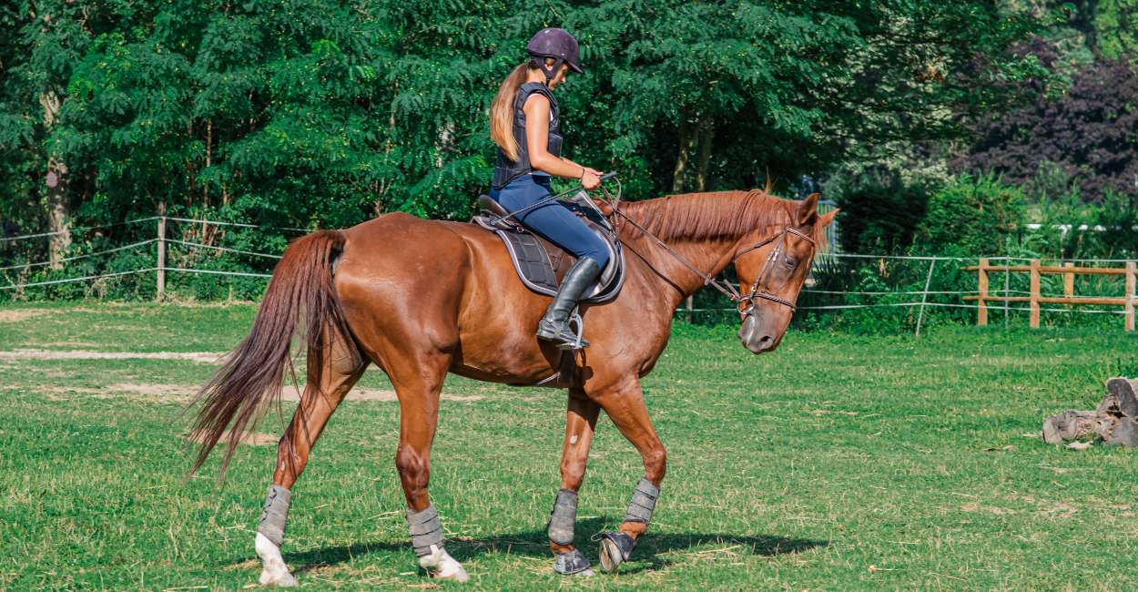 Soñar con montar a caballo: 30 tipos y sus interpretaciones