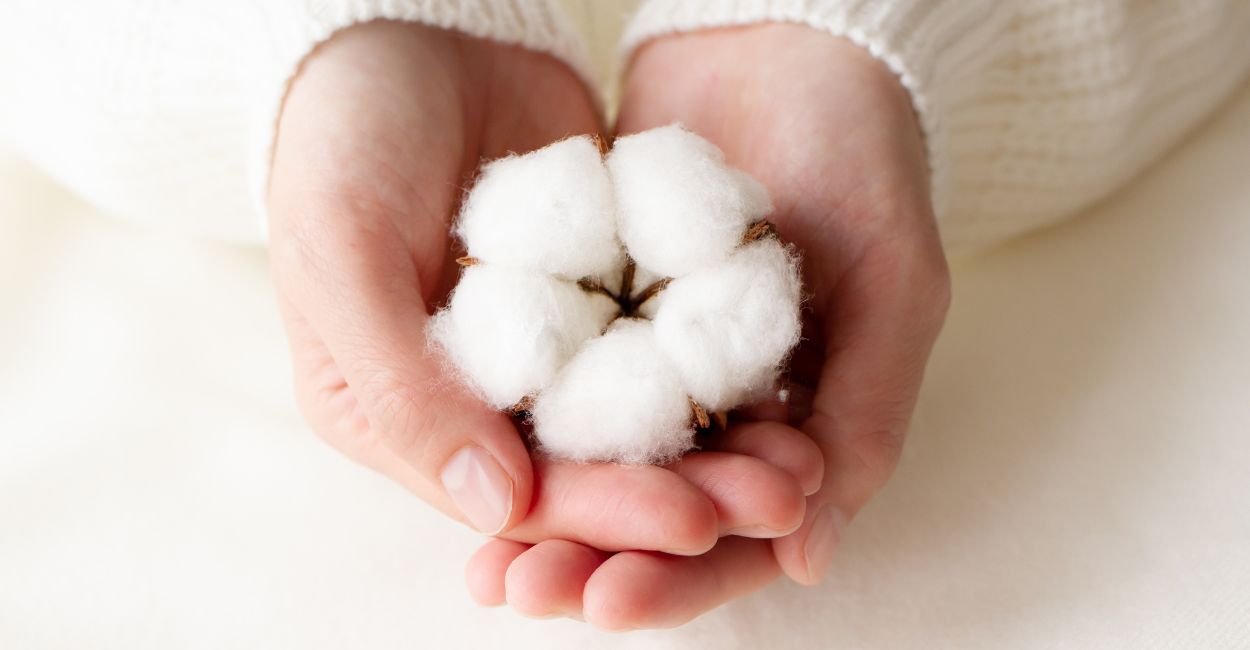 Soñar con algodón: ¿serás bendecido con buena suerte, salud y mucho amor?