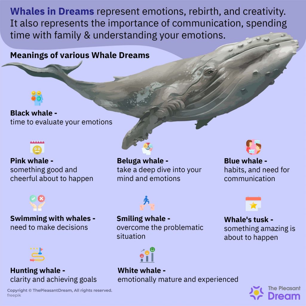 Dreaming of Whales – Un Gigantesco Giro de Eventos Espera