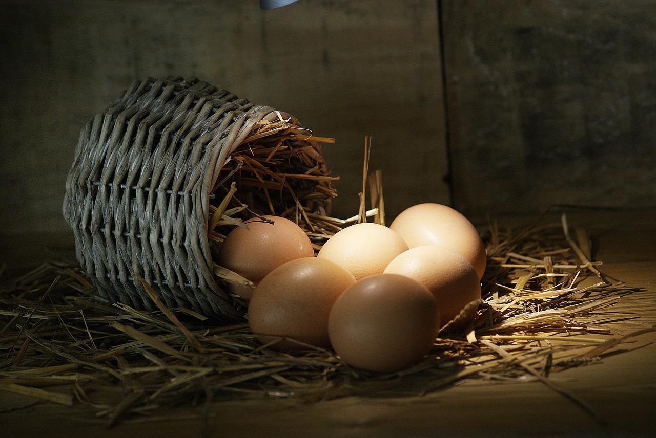 El Significado e Interpretación de los Sueños con Huevos