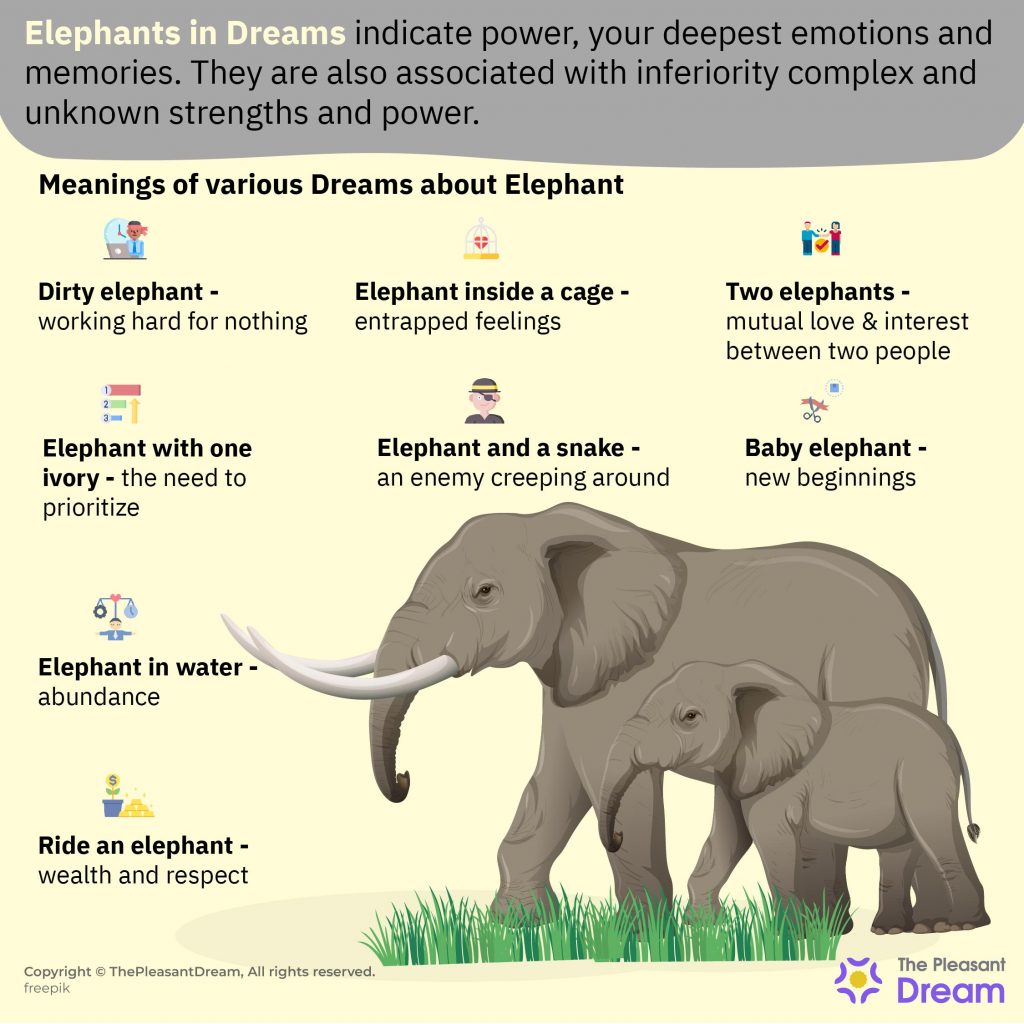 Elefantes en Sueños: Despliegue de Escenarios e Interpretaciones