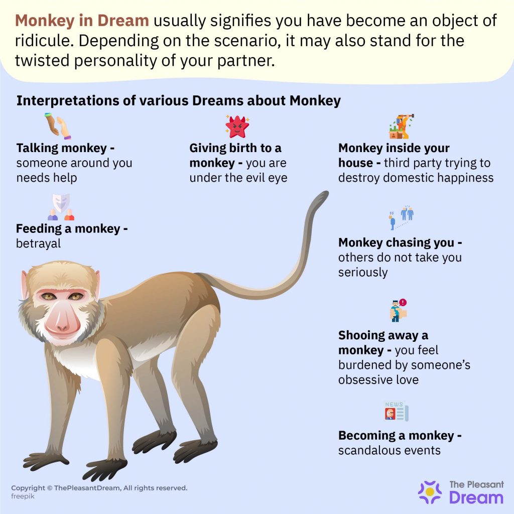Monkey In Dream - Escenarios que muestran tu vida de vigilia