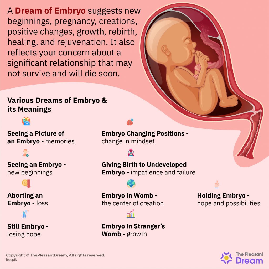 Significado de Soñar con Embrión - 40 Escenarios e Interpretaciones