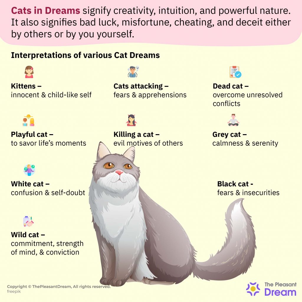 Soñando con Gatos | Interpretaciones en profundidad de los sueños de los gatos