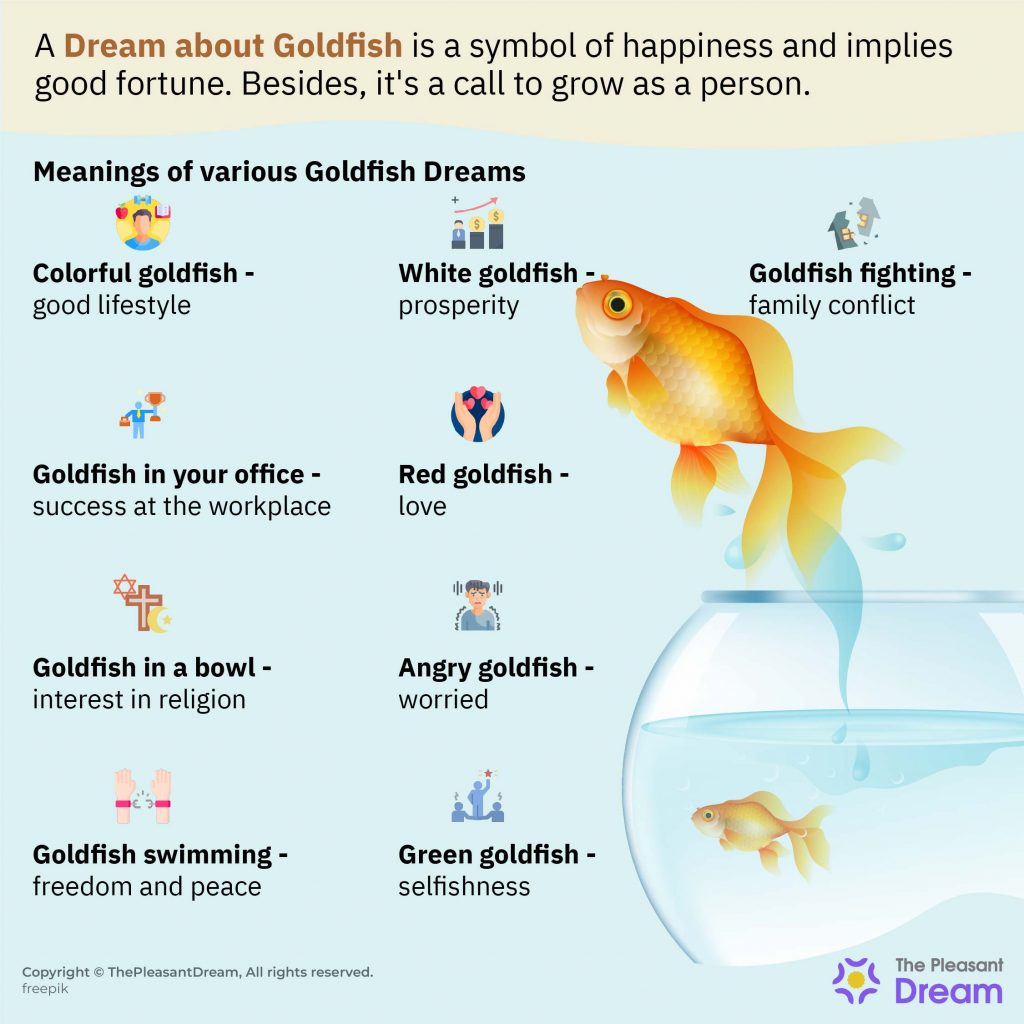 Soñar con Goldfish - ¡Comprueba su significado aquí!