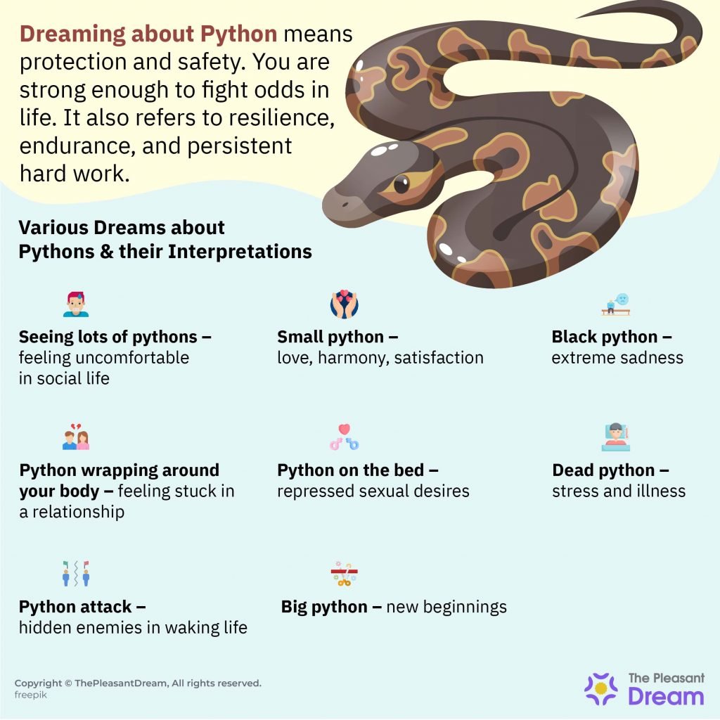 Soñar con Python: ¿Sugiere su resiliencia para luchar valientemente contra las probabilidades?