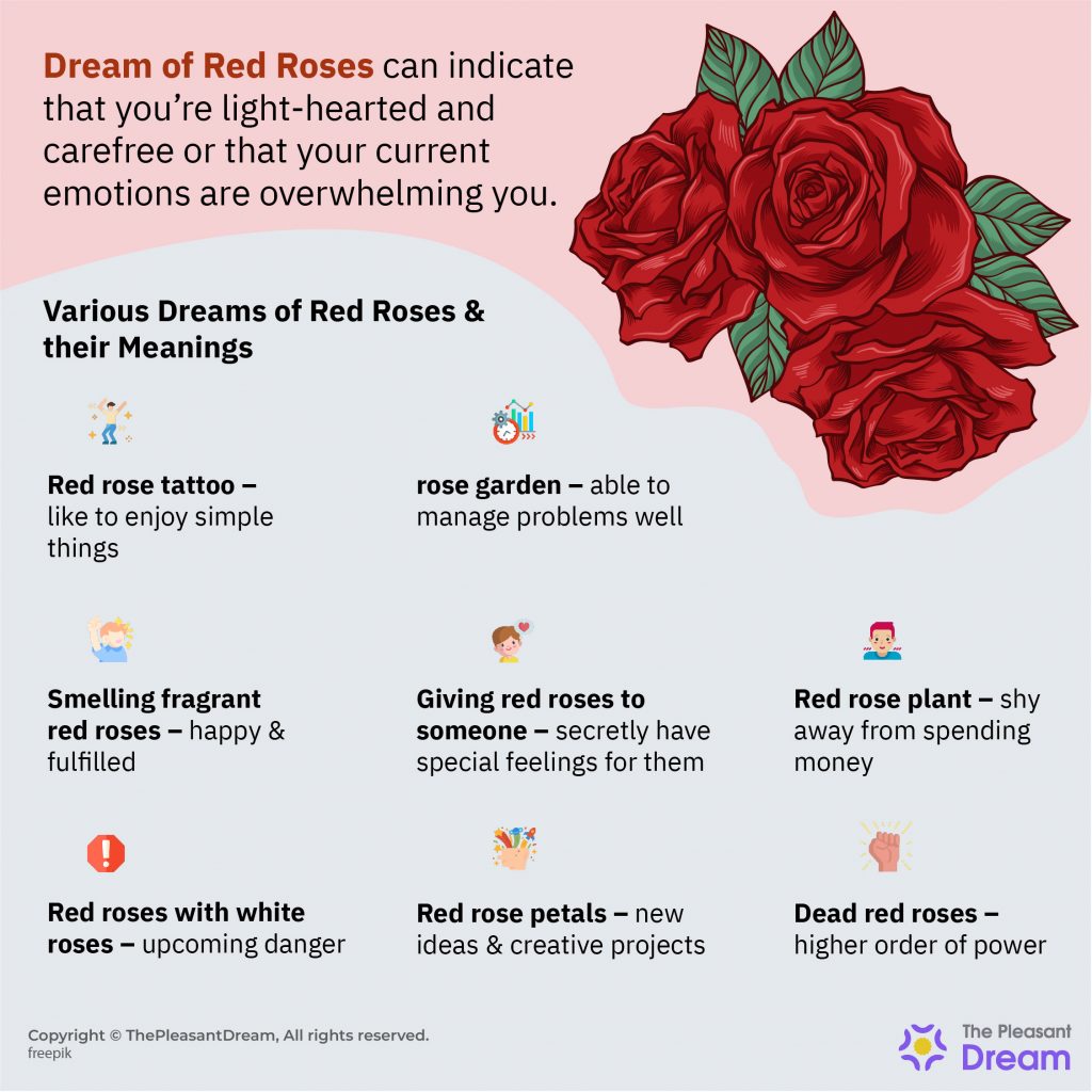 Soñar con Rosas Rojas – 25 Tipos y sus Significados