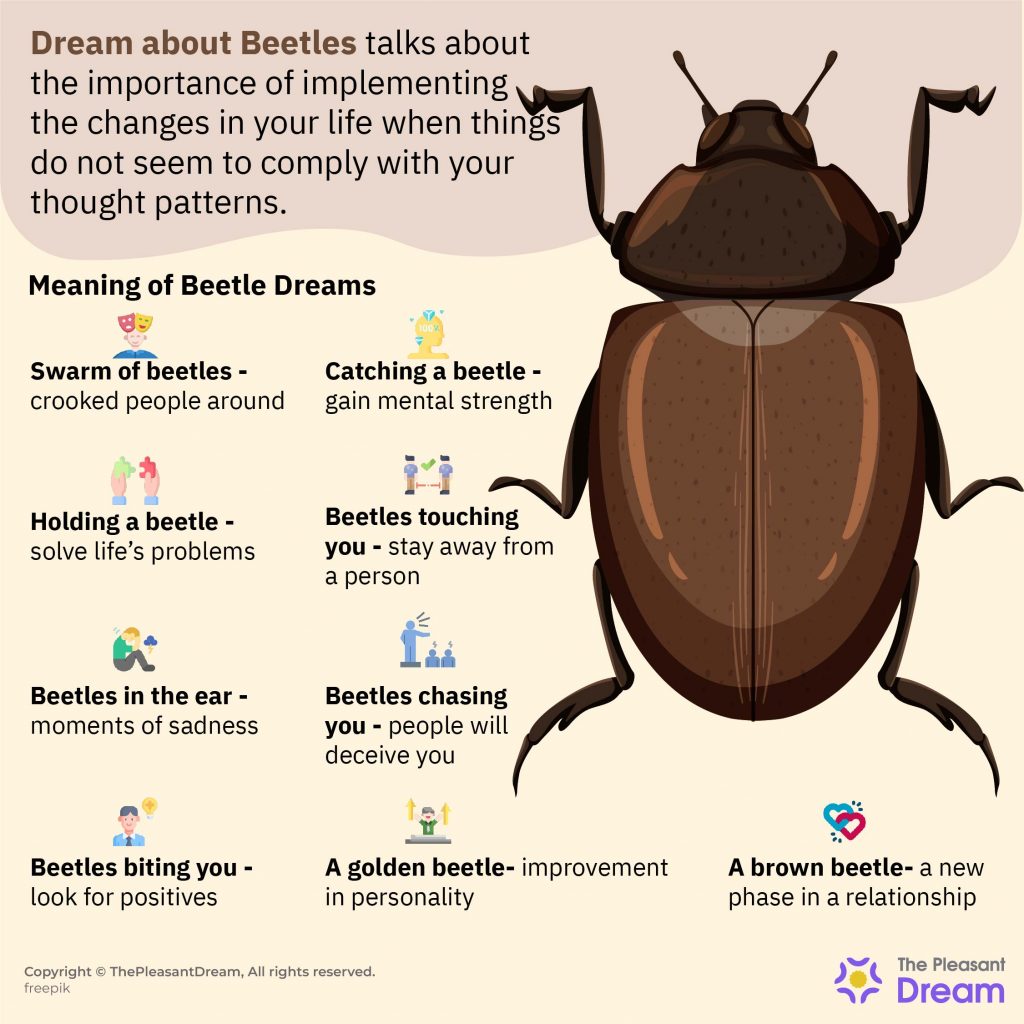 Soñar con escarabajos: una variedad de tramas y significados interesantes