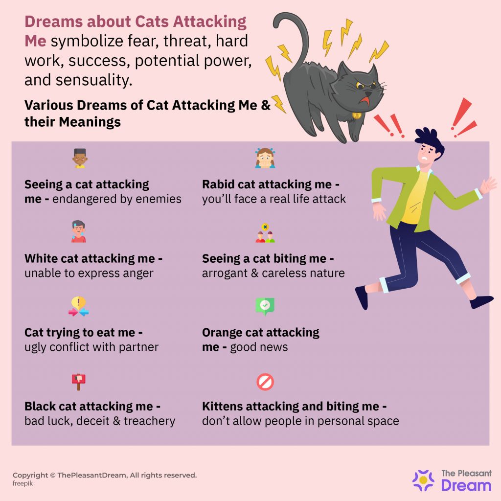 Soñar con gato atacándome – 40 tipos y sus interpretaciones