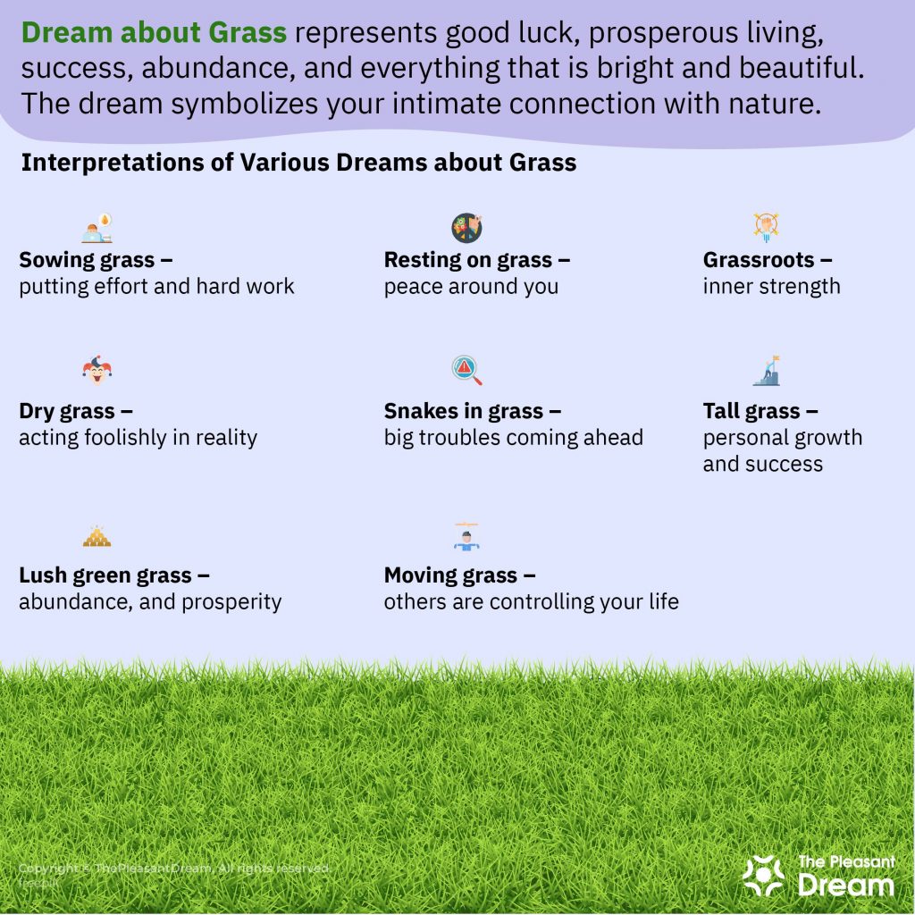 Soñar con hierba revela su búsqueda de abundancia y prosperidad en la vida de vigilia