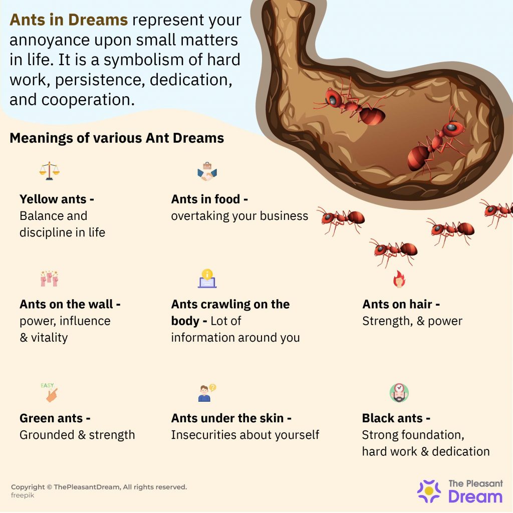 Soñar con hormigas - Impartir lecciones de trabajo duro y determinación