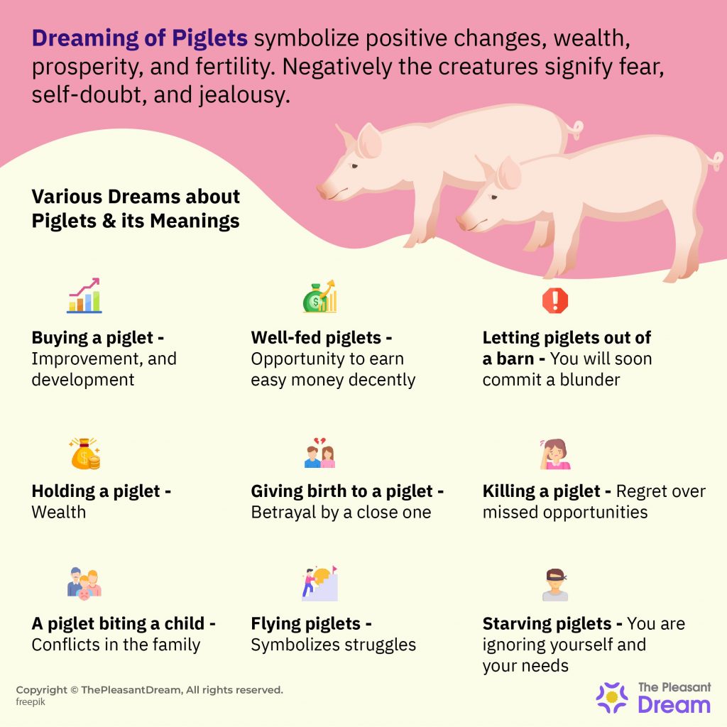 Soñar con lechones - 60 tipos con significados