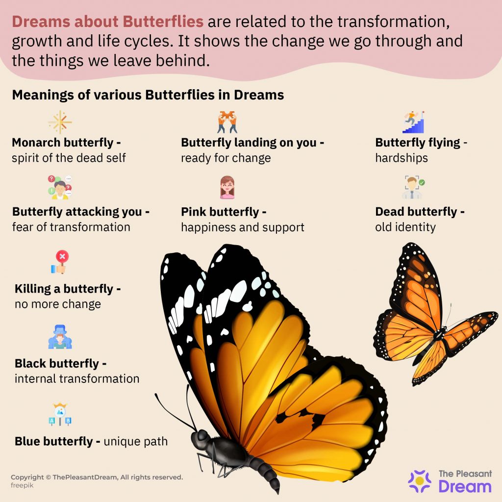 Soñar con mariposa: un signo de próxima transformación