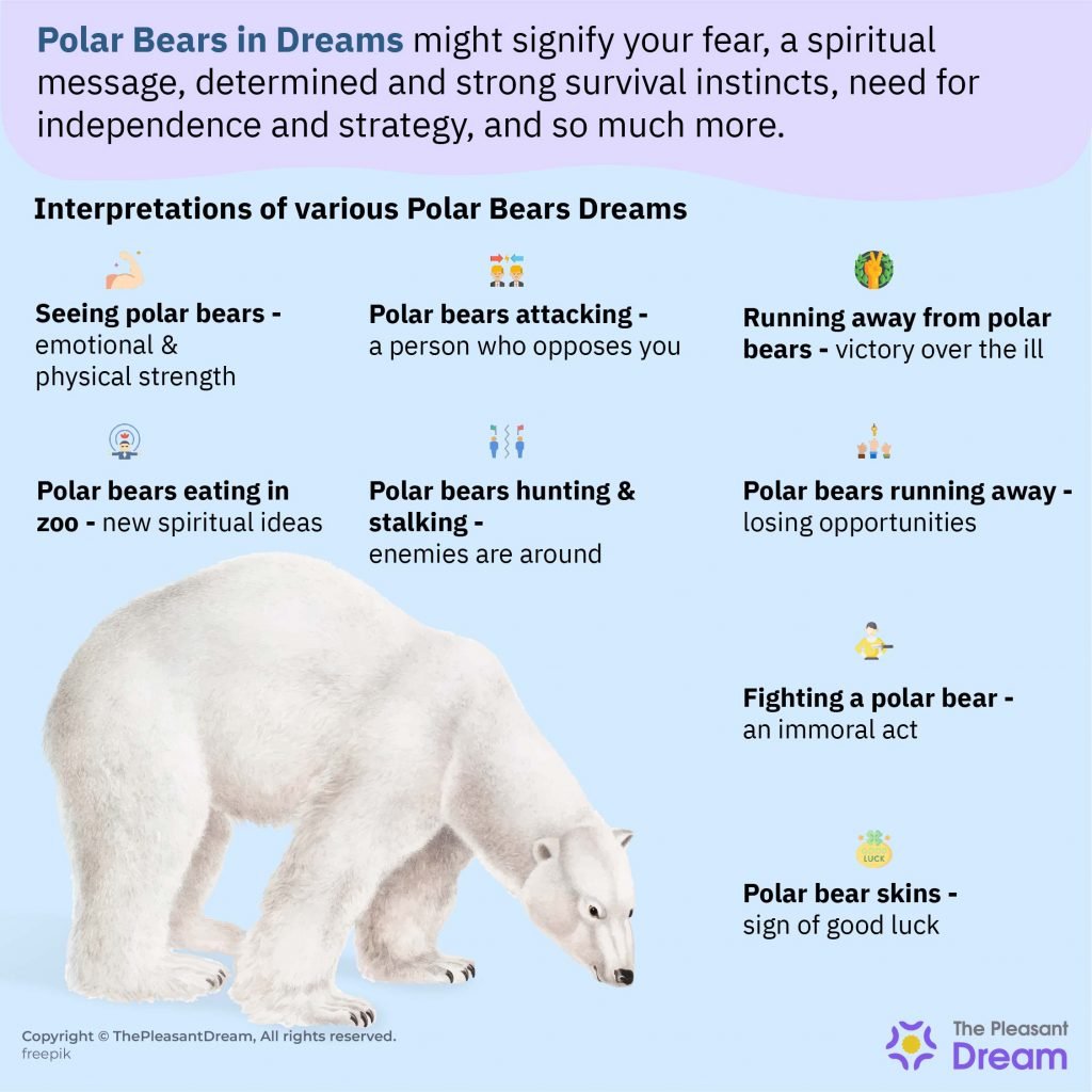SoÃ±ar con osos polares: 50 tipos y sus interpretaciones