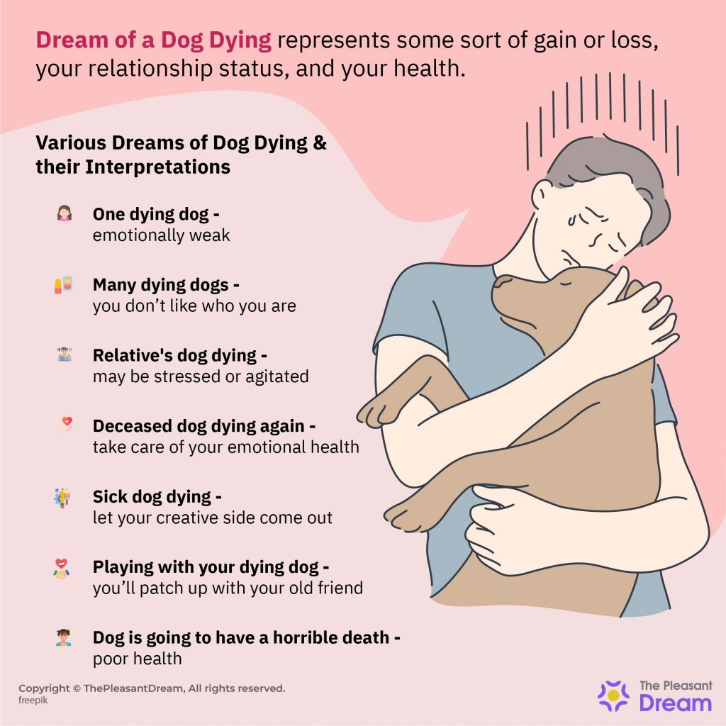 Soñar con perro muriendo – 20 tipos y sus interpretaciones