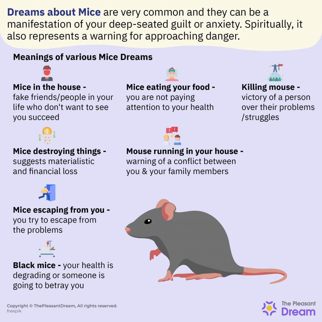 Soñar con ratones: ¿le temes a los ratones en la vida real?