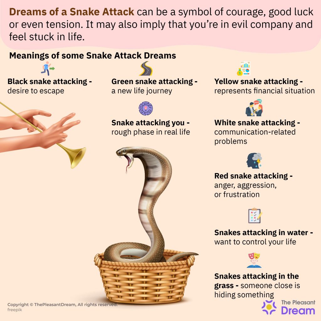 Soñar con serpientes atacando – 15 tipos y sus interpretaciones