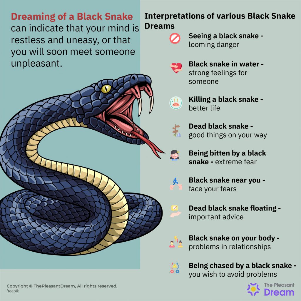 Soñar con una serpiente negra
