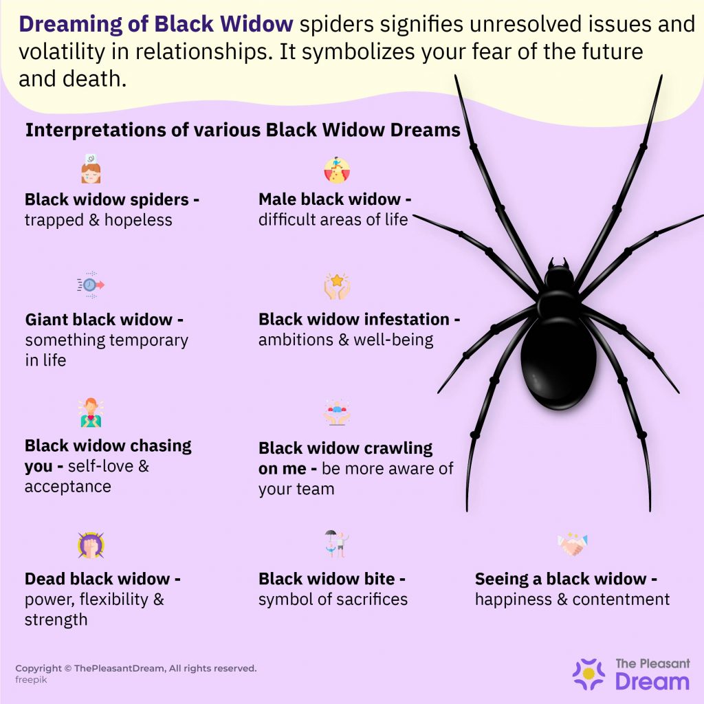 Soñar con viudas negras: 15 tipos y sus interpretaciones