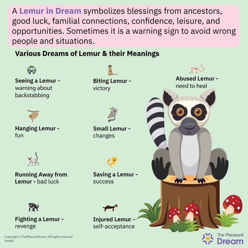 Sueño de Lemur - 60 Escenarios e Interpretaciones