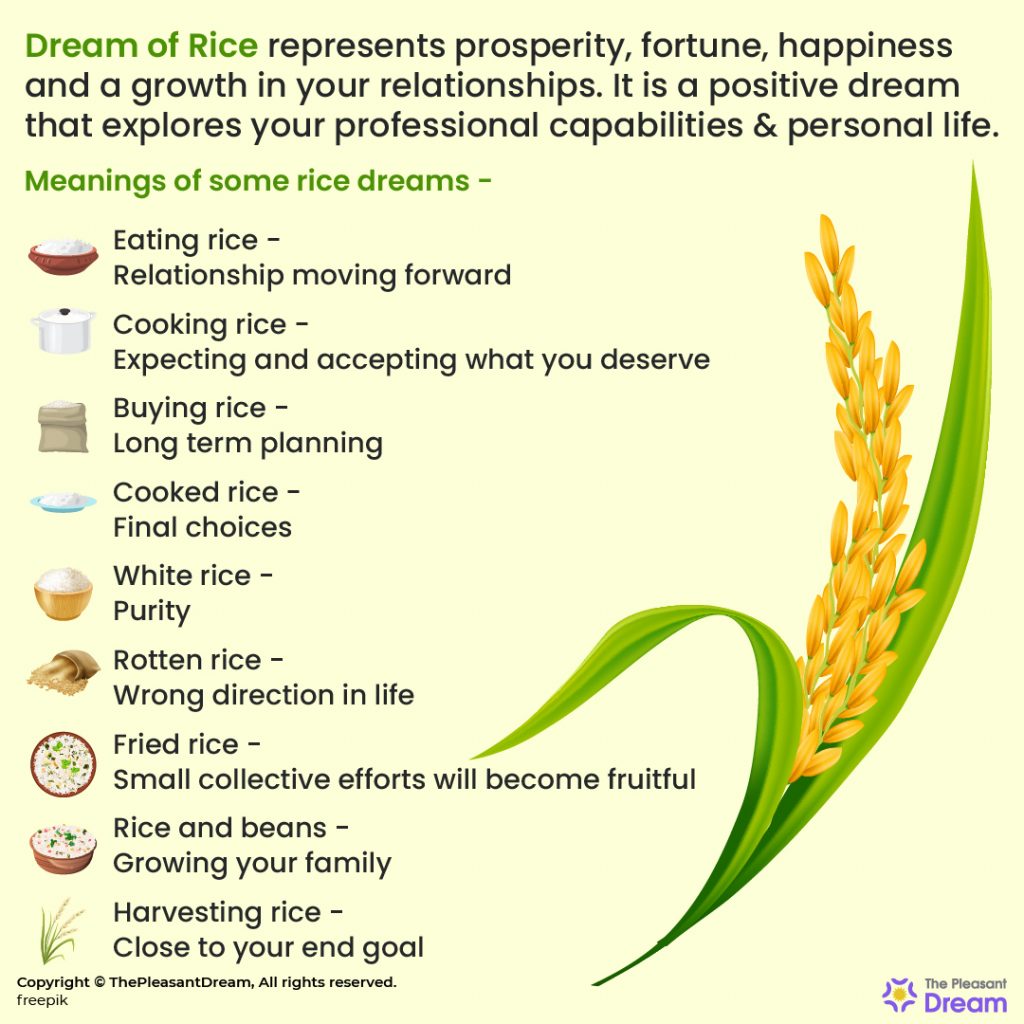 Sueño de arroz: ¿conduce a la nutrición o algo más?