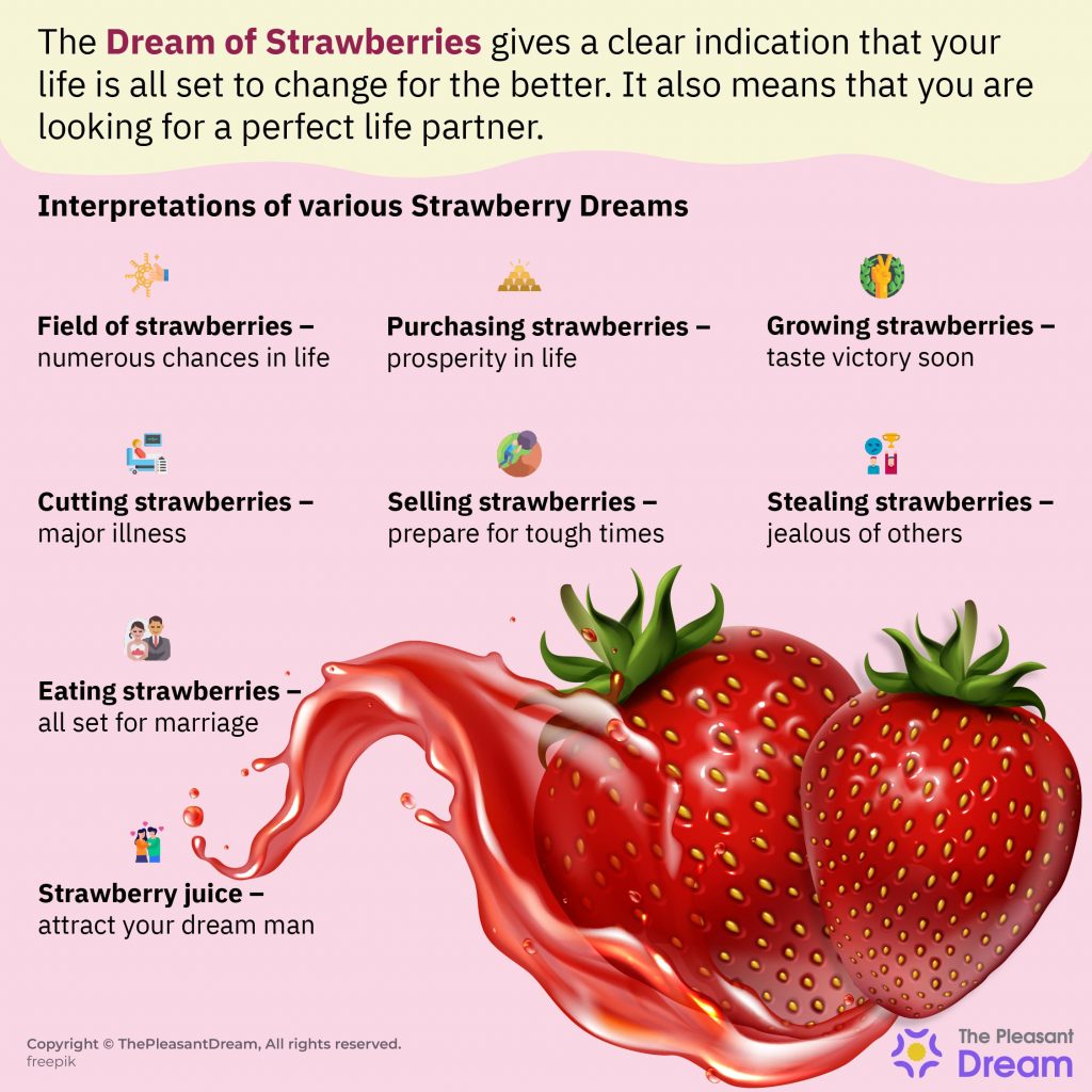 Sueño de fresas: algunas tramas intrigantes e interpretaciones