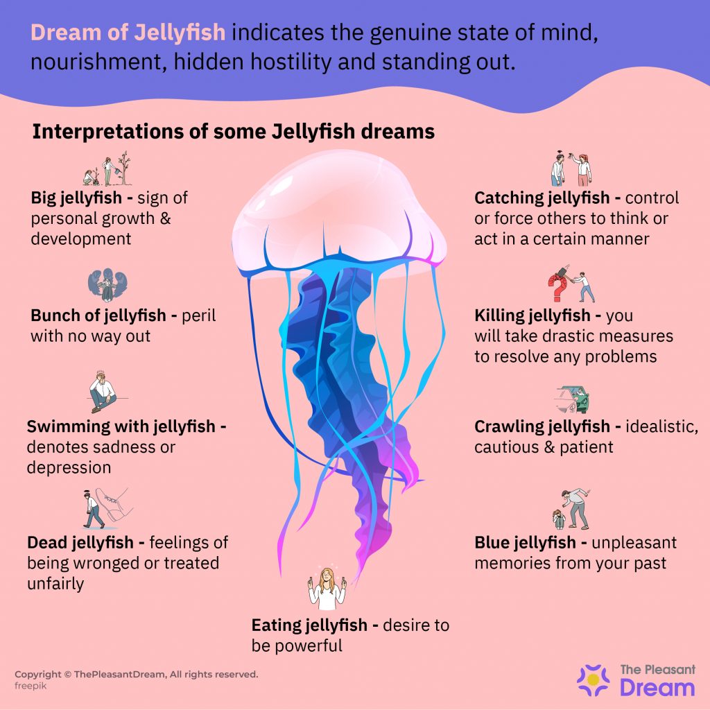 Sueño de medusas: varios escenarios intrigantes e interpretaciones