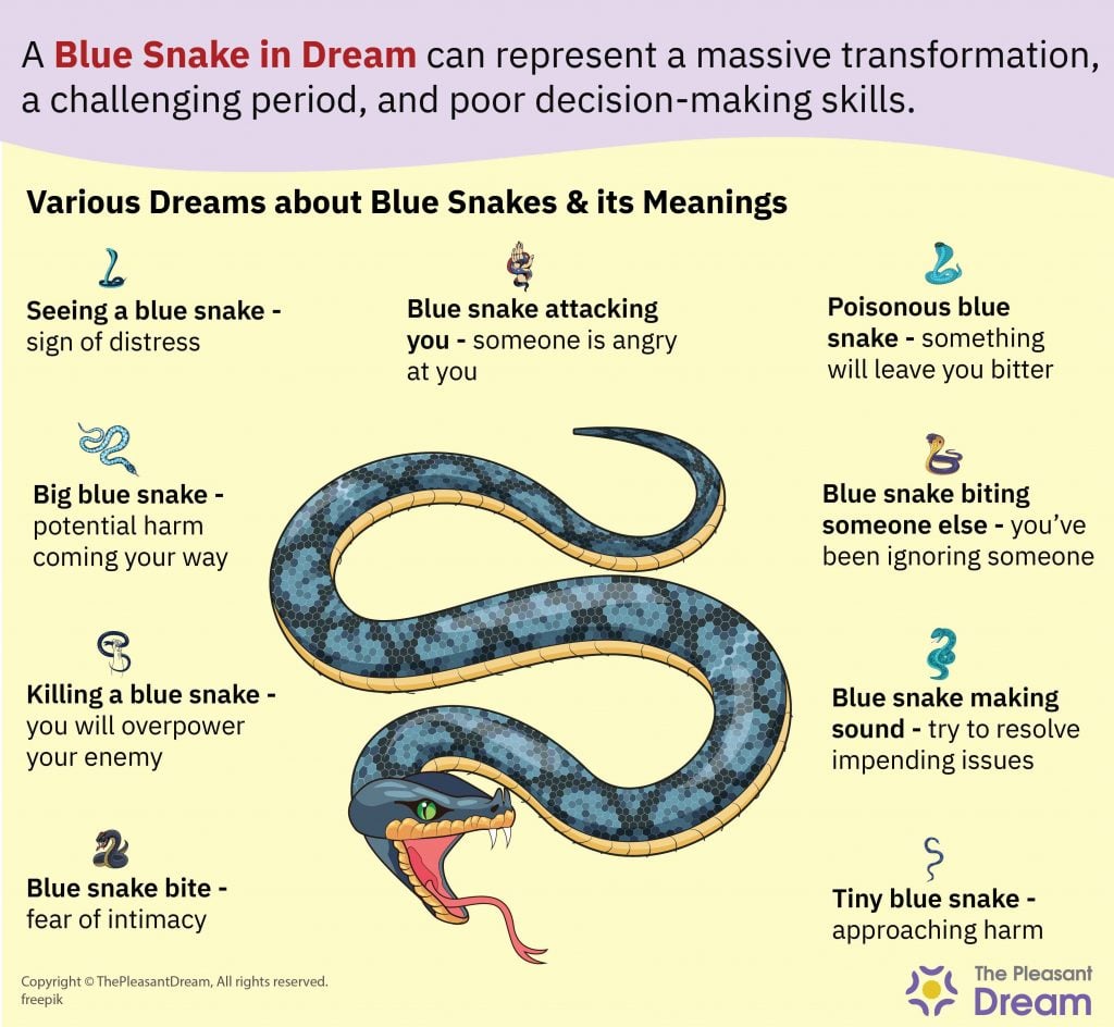 Sueño de una serpiente azul: 35 tipos y sus interpretaciones