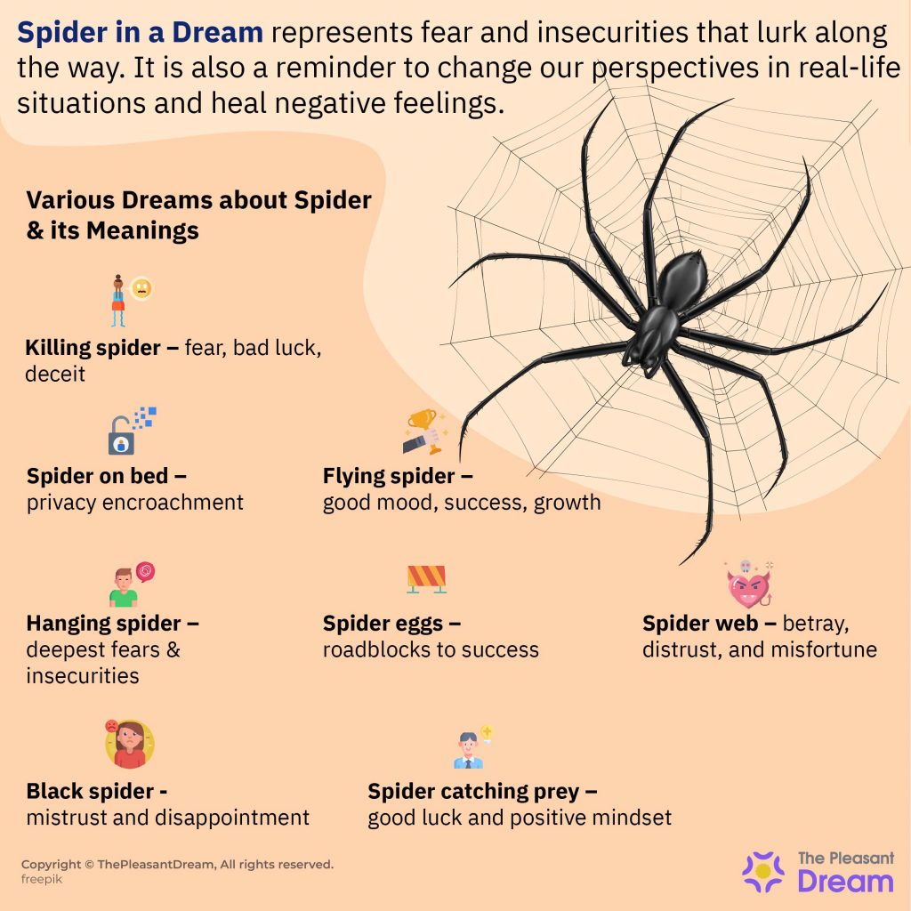 Sueños con arañas: ¿una red de mentiras y conspiraciones en la vida?