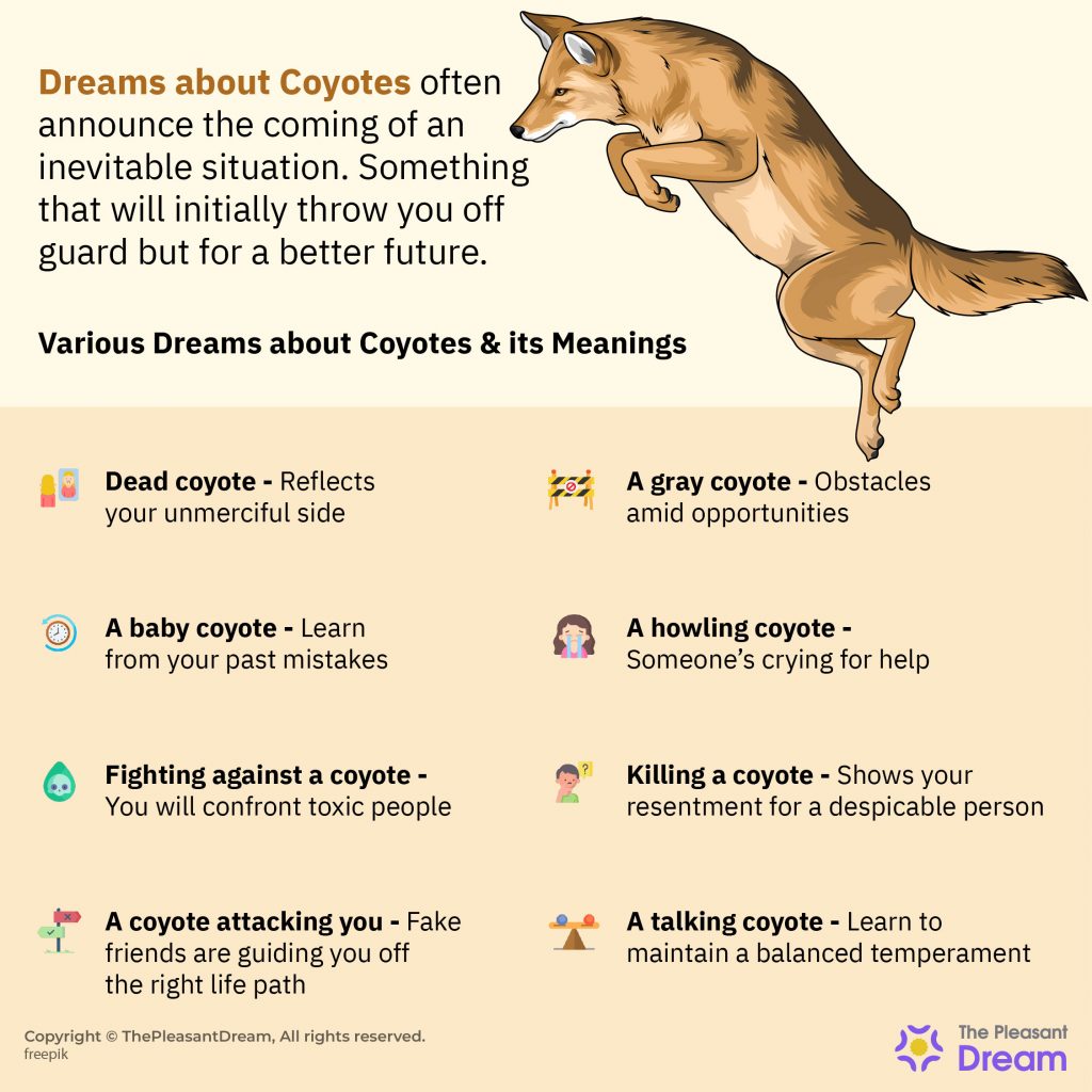 Sueños con coyotes 35 tipos y sus significados