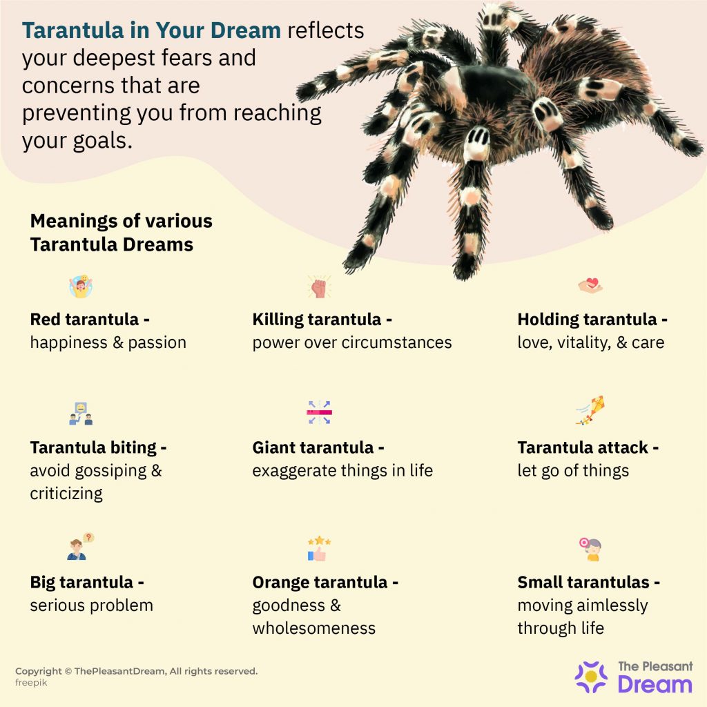 Tarantula Dream - Hora de revelar aspectos ocultos de la vida