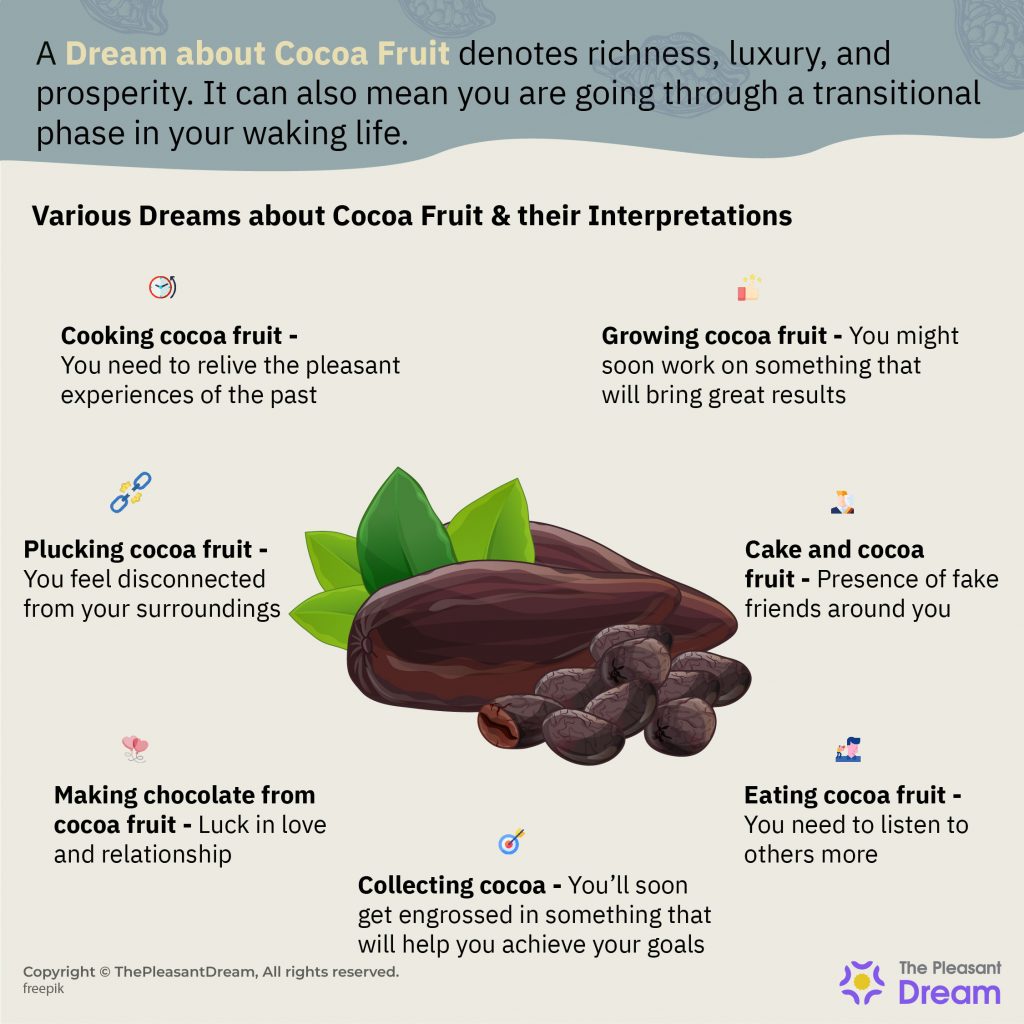 Un sueño sobre la fruta del cacao 13 tipos de sueños e interpretaciones