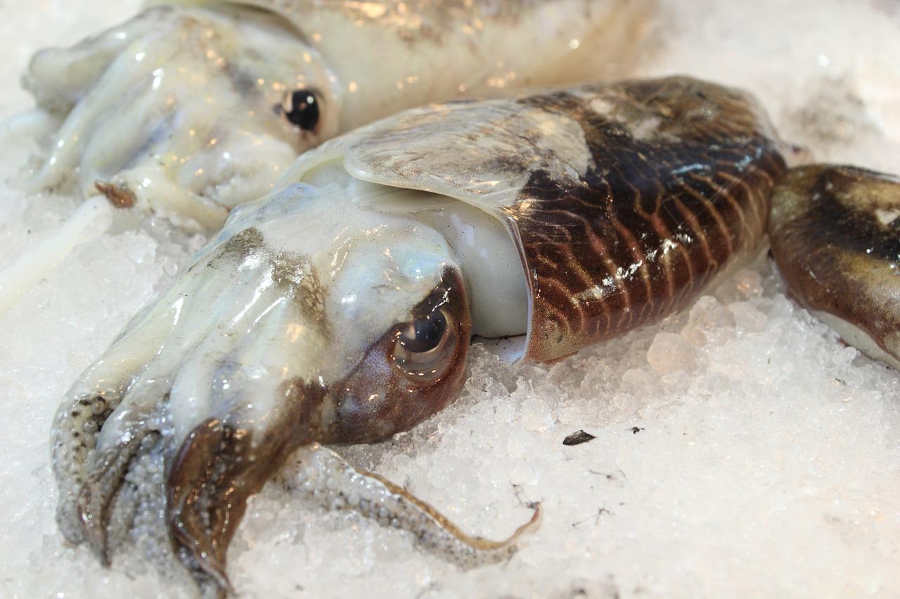 El Significado e Interpretación de Soñar con Calamares