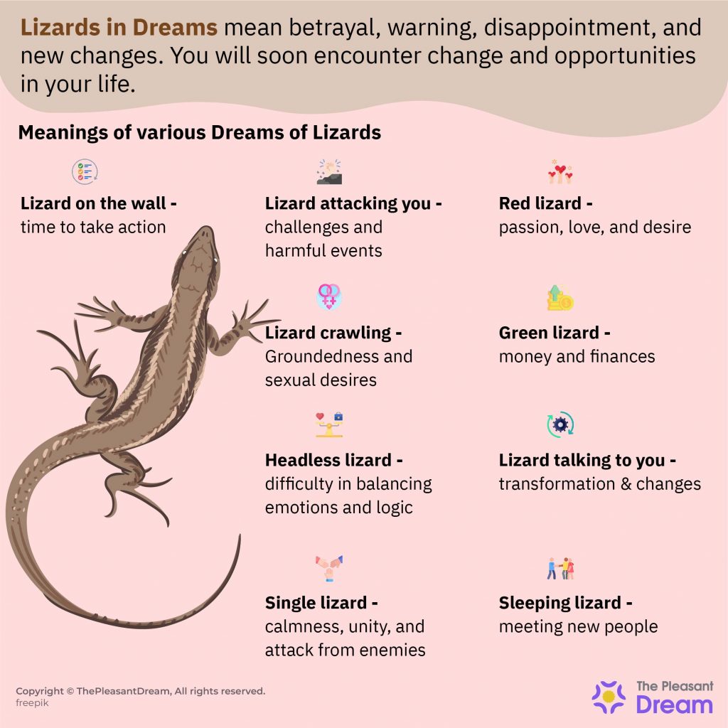 Lagarto en sueño: ¿este reptil es una buena o mala señal?