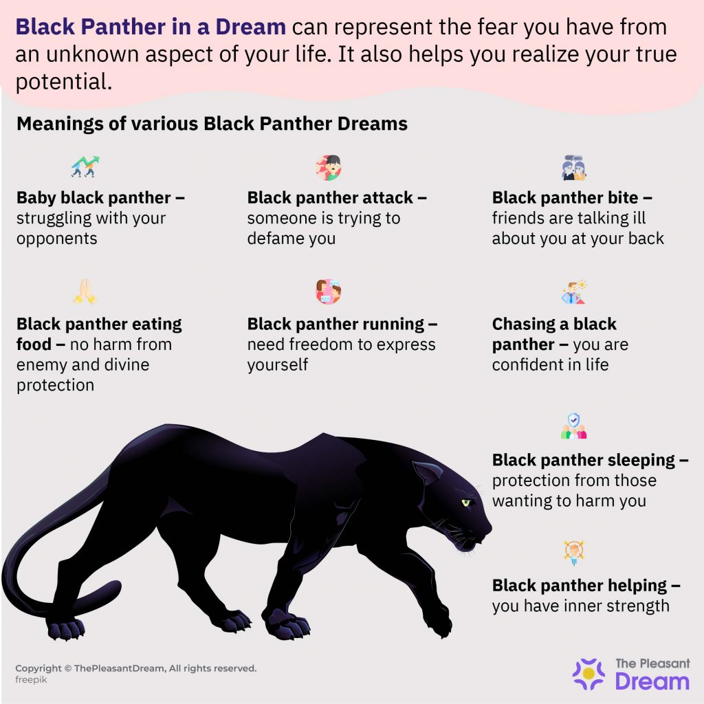 Pantera negra en un sueño: ¿es propicio o mala suerte?