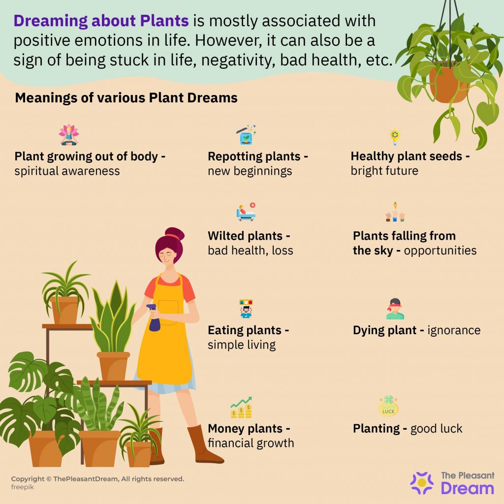 Soñar con Plantas – ¿Significa crecer como las plantas en la vida?