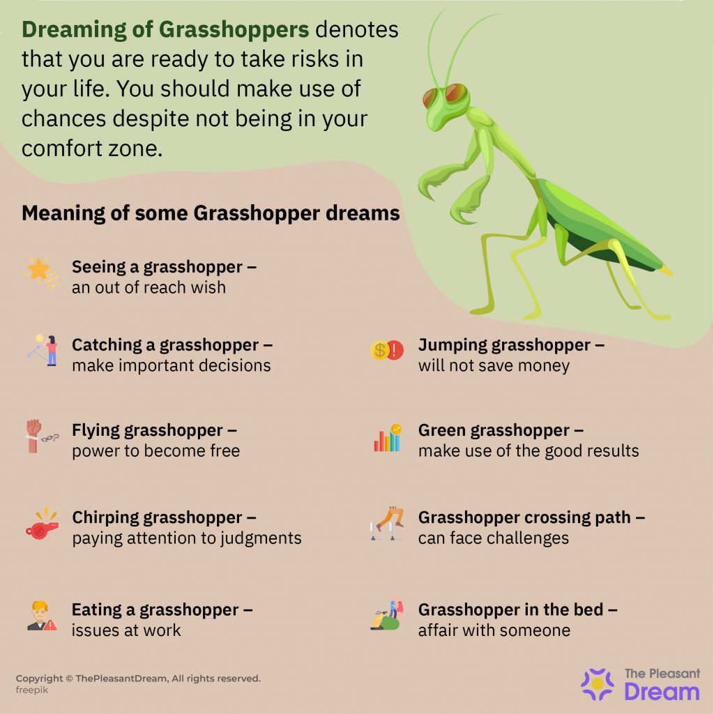 Soñar con saltamontes – ¿Qué está tratando de transmitir el insecto?