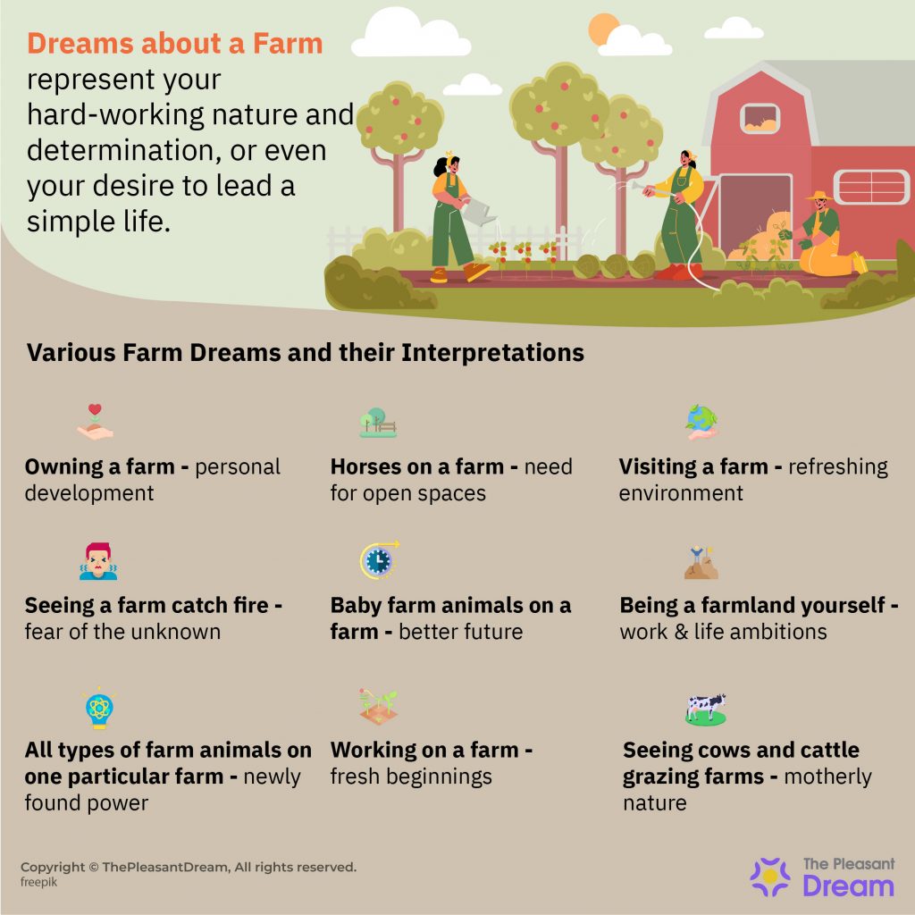 Soñar con una Granja – 15 Tipos y sus Interpretaciones
