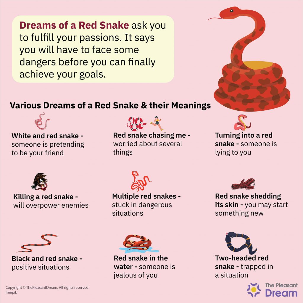 Soñar con una Serpiente Roja – 60 Tipos y sus Interpretaciones