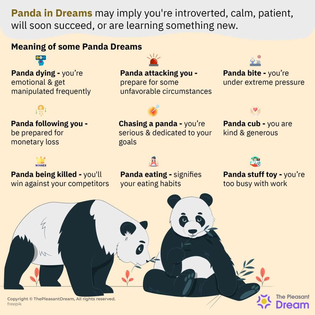 Sueños con pandas – 25 escenarios y sus interpretaciones