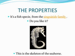 ¡El caballito de mar!